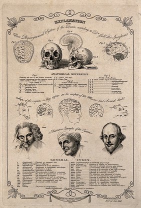 Phrenological diagrams of the skull and brain, with three portraits: Laurence Sterne, a mathematician, and Shakespeare; exemplifying the faculties of wit, number and imagination respectively. Engraving by H. Sawyer after W. Byam, 1818.