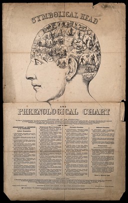 A head containing over thirty images symbolising the phrenological faculties. Wood engraving, c. 1845, after O.S. Fowler (?).