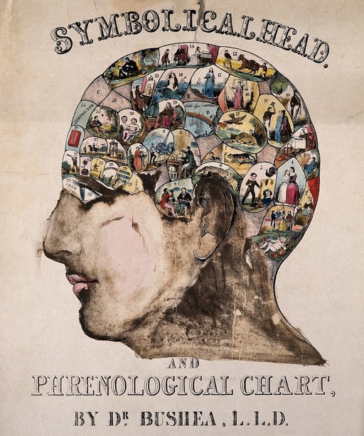 Symbolical head, After O S Fowler, c.1845