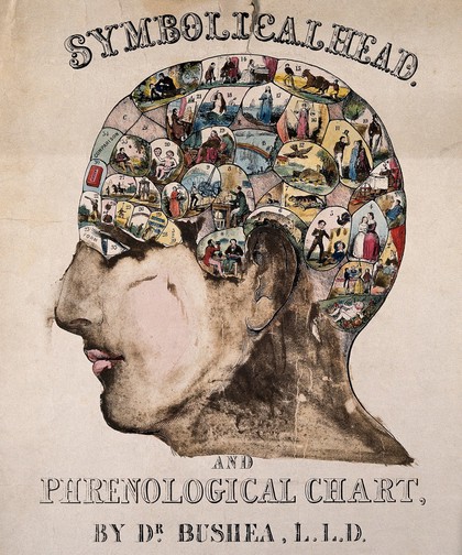 A head marked with images representing the phrenological faculties, with a key below. Coloured wood engraving, ca. 1845, after H. Bushea and O.S. Fowler (?).