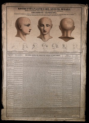 view Phrenological chart with three figures of a head and sketches of the heads of famous men. Coloured lithograph, 1836.