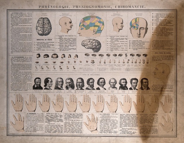 Elements of phrenology, physiognomy and palmistry, with diagrams of heads and hands, and portraits of historical figures. Colour lithograph, 1866.