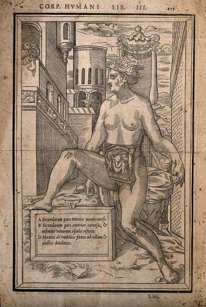 Dissection of the abdomen of a pregnant woman, showing the foetus: the nude woman is shown seated on a canopied chair in an outdoor setting, while a man with spectacles gazes from a balcony. Woodcut, 1545.