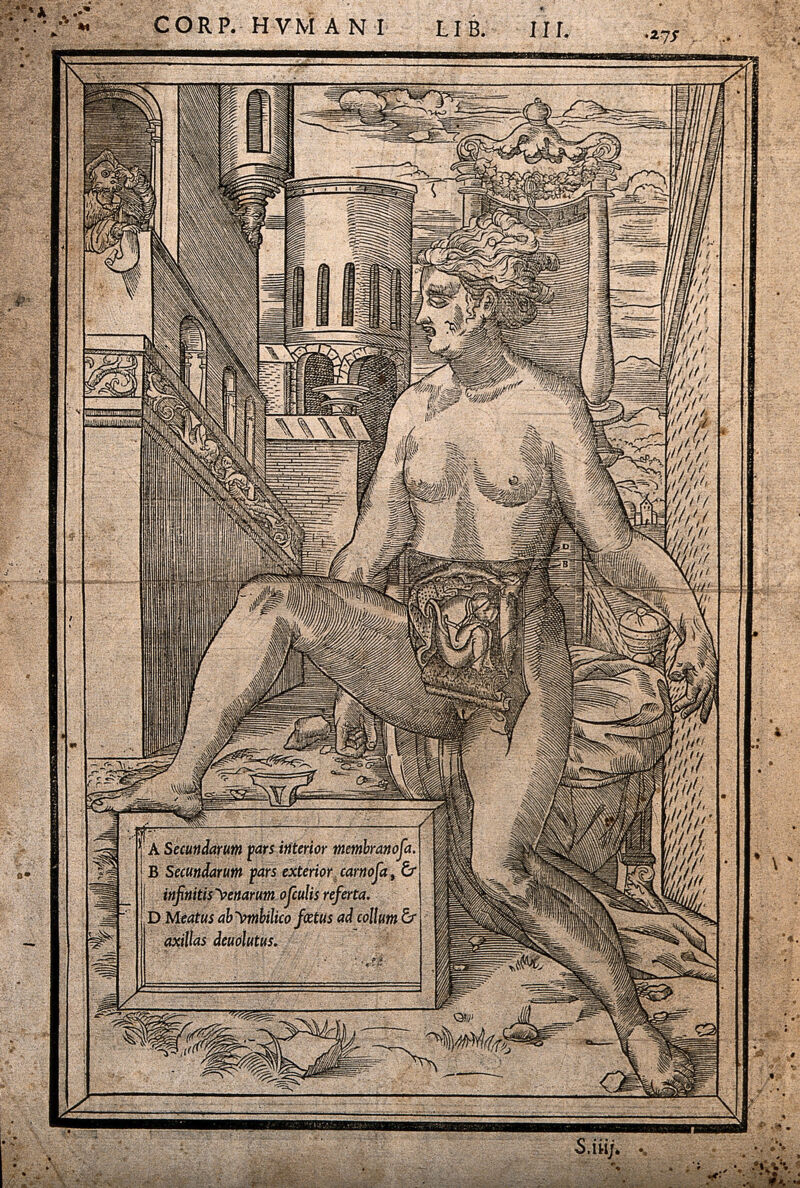Dissection of the abdomen of a pregnant woman, showing the foetus: the nude woman is shown seated on a canopied chair in an outdoor setting, while a man with spectacles gazes from a balcony. Woodcut, 1545., [1545], by Charles Estienne