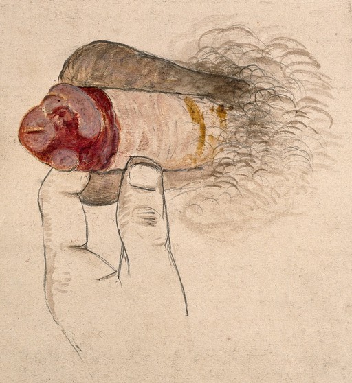 Pencil with watercolour drawing