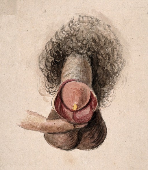 Pencil with watercolour drawing