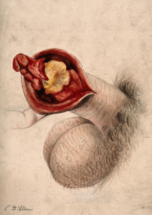 Pencil with watercolour drawing
