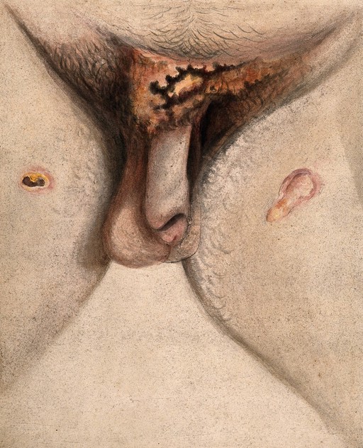 Pencil with watercolour drawing