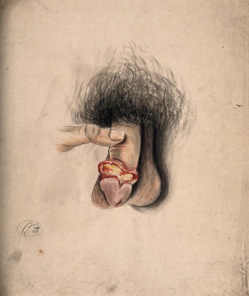 Pencil with watercolour drawing