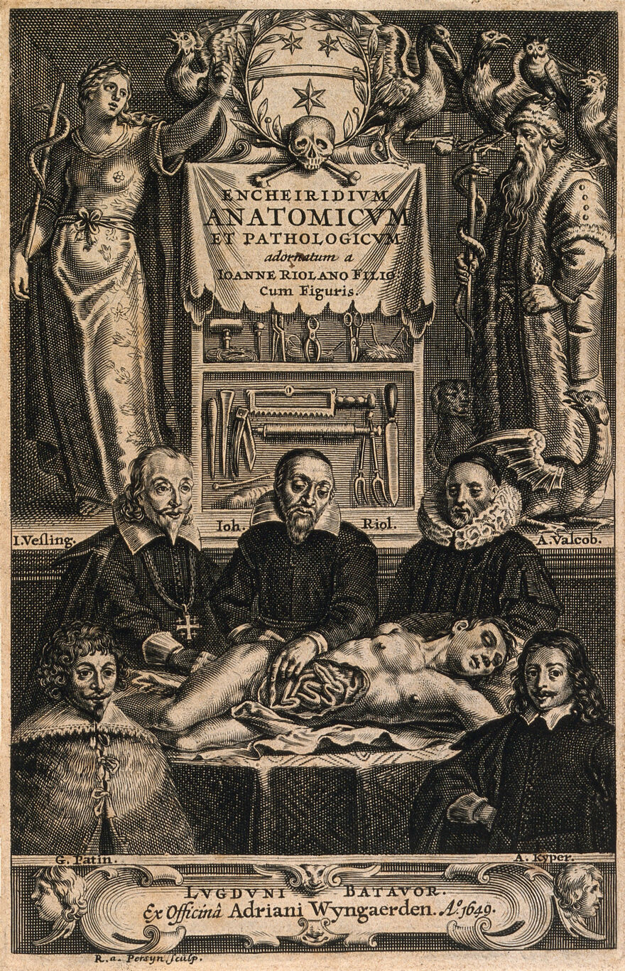 Credit: An anatomical dissection by Jean Riolan the younger (1580-1657). Engraving of 1649 by Renier van Persyn after a design of 1626 by Crispijn de Passe the second. Wellcome Collection. Source: Wellcome Collection.