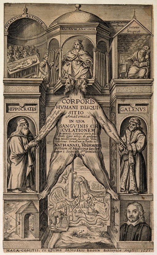 A triumphal arch from which is suspended the flayed skin of a man, with a canal system as an allegory of the circulation of the blood visible in the distance. Engraving, 1651.