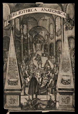 view An anatomical dissection taking place in a hall decorated with musclemen and human and animal skeletons in niches. Engraving with etching, 1685.