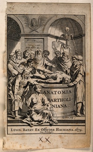 view Ancient anatomists in discussion around a cadaver. Engraving by G. Appelmans, 1674.