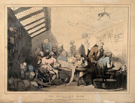 Three anatomical dissections taking place in an attic. Coloured lithograph by T. C. Wilson after a pen and wash drawing by T. Rowlandson.