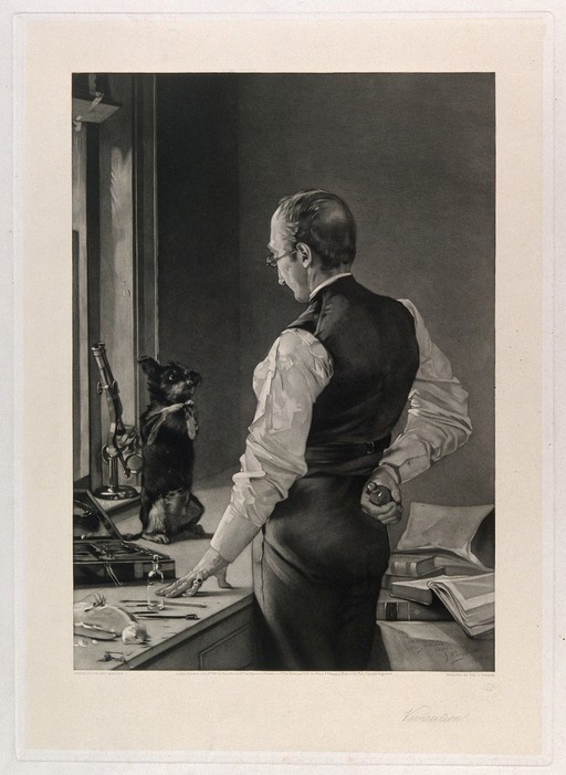 A dog on a laboratory bench sits up and begs the prospective vivisector for mercy. Engraving by D. J. Tomkins, 1883, after a painting by J. McClure Hamilton.