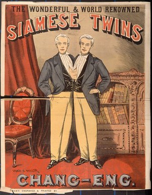 view Chang and Eng, the Siamese twins, in evening dress. Colour wood engraving by H.S. Miller.