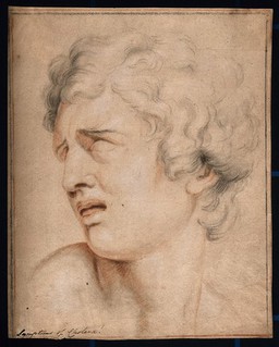 Head of a man expressing acute pain. Pencil drawing after Charles Le Brun.