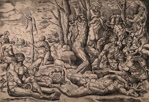 The Israelites afflicted by a plague of serpents; two men worshipping the brazen serpent erected by Moses. Engraving by M. Coxcie, 15--.