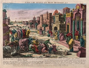 view The plague of lice. Coloured etching.