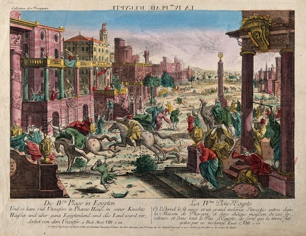 The plague of insects. Coloured etching.