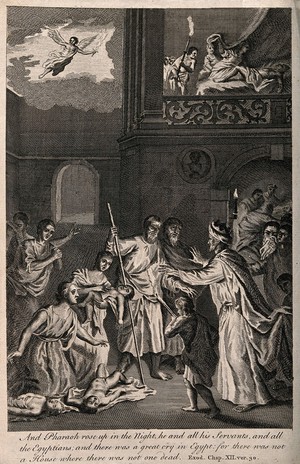 view The death of the first born of Egypt. Etching.