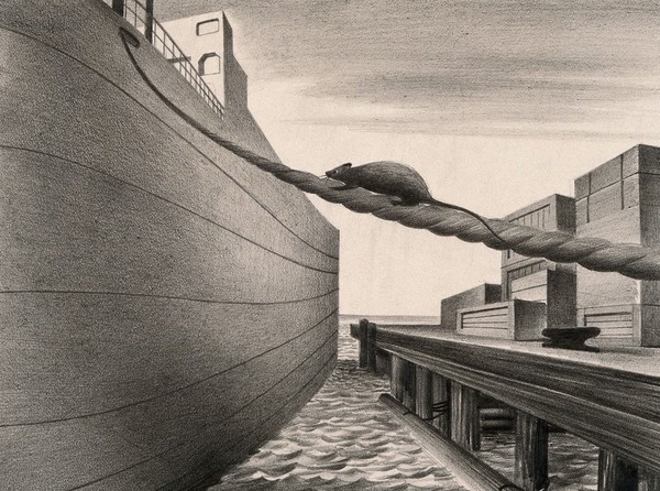 A rat stowing away on a ship, carrying the plague further afield. Drawing by A.L. Tarter, 194-.