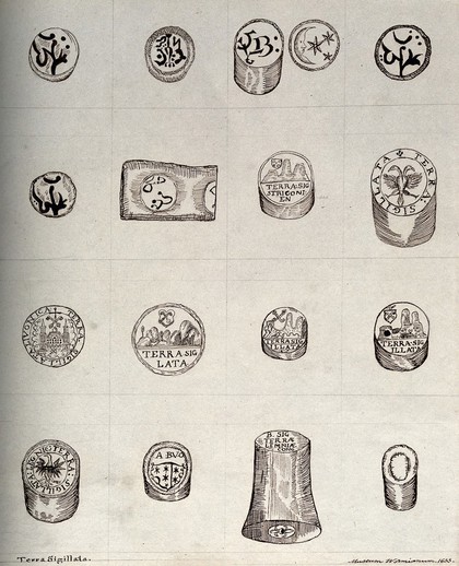 Seventeen different pieces of sealed, precious medicinal earth known as 'terra sigillata'. Pen drawing.