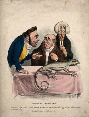 view Two men with a physician, discussing the chameleon on the table before them. Coloured lithograph after HH.