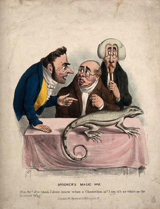 Two men with a physician, discussing the chameleon on the table before them. Coloured lithograph after HH.