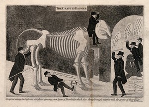 view Dr Barclay's advocation to the proposed professorship of comparative anatomy supported and opposed; represented by him riding the skeleton of an elephant into the university of Edinburgh. Etching by J. Kay, 1817.