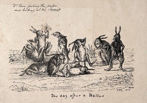 view Hares recovering after surviving a hunt, one of them taking another's pulse. Lithograph by WBT, 1859.