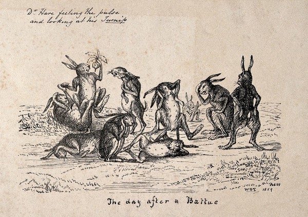 Hares recovering after surviving a hunt, one of them taking another's pulse. Lithograph by WBT, 1859.