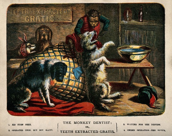 Interior of a dentist's surgery with animal participants. Reproduction of a coloured wood engraving.