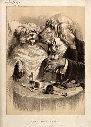 view A doctor examining his patient; represented by a bloodhound with a terrier. Lithograph after W.J. Allen.