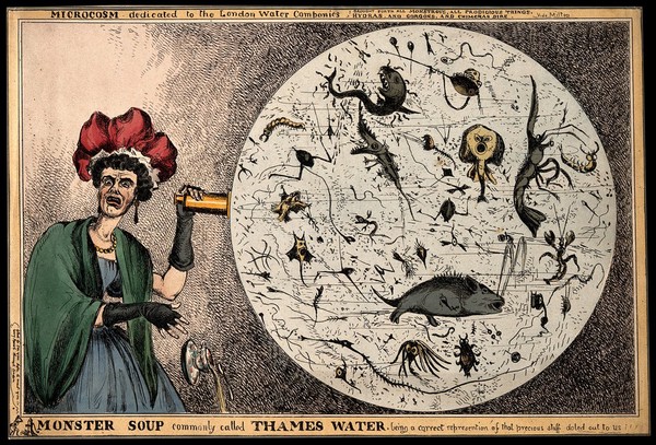 A woman dropping her porcelain tea-cup in horror upon discovering the monstrous contents of a magnified drop of Thames water; revealing the impurity of London drinking water. Coloured etching by W. Heath, 1828.