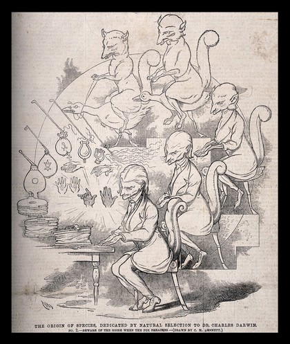 The evolution of a fox riding a goose into a writer seated at his typewriter (or a pianist?) - which in turn evolves into accordion, bellows, money-bag, and handcuffs; representing Darwin's theories. Wood engraving after C. Bennett, 1863.
