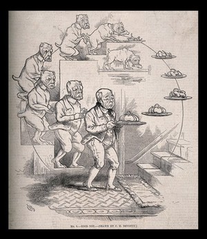 view The evolution of a dog and bone into a butler bearing a silver serving-dish; representing Darwin's theories. Wood engraving after C. Bennett, 1863.