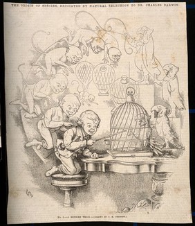 The evolution of a monkey into a boy and a balloon into a cage for a parrot; representing Darwin's theories. Wood engraving after C. Bennett, 1863.