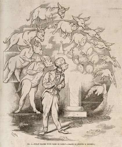 The evolution of a barrel and goose into a donkey into a man wearing tails; representing Darwin's theories. Wood engraving after C. Bennett, 1863.