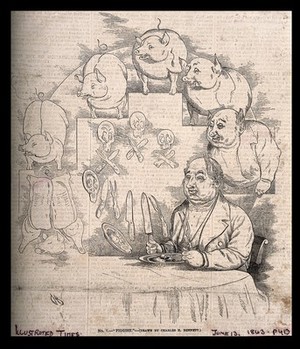 view The evolution of pieces of pork into a pig into a man seated at his dinner table, his plate and cutlery evolved from a skull and crossbones; representing Darwin's theories. Wood engraving after C. Bennett, 1863.