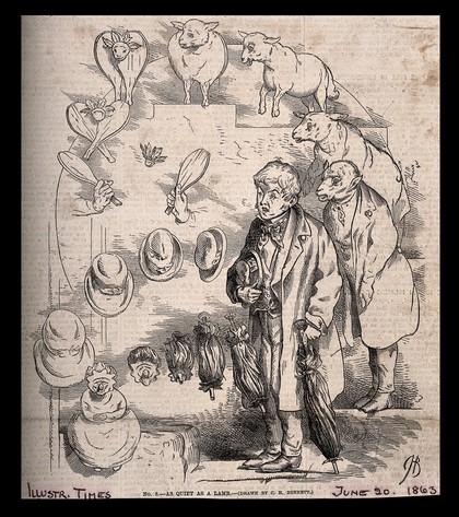 The evolution of a shuttlecock and bats into a sheep into a timid young man, and his hat into a baby into his umbrella; representing Darwin's theories. Wood engraving after C. Bennett, 1863.