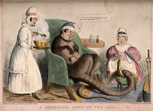 view An ill marsupial creature with a human head and long tail is seated in a chair being treated by two nurses; representing Daniel O'Connell's role in the County Carlow election of 1835. Coloured lithograph by R. Seymour, 1835.