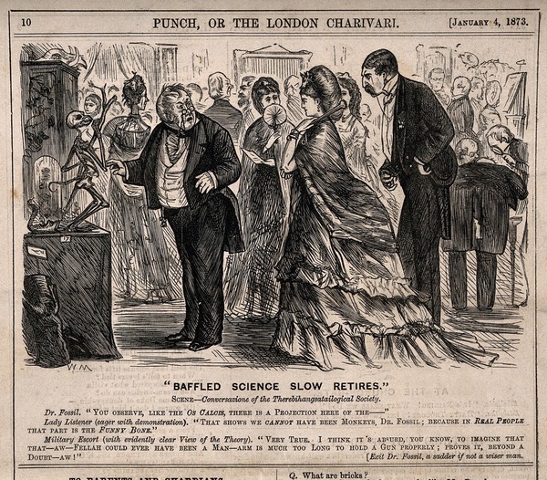 Dr Fossil, an evolutionist, coming up against an interested couple's misguided views, at an anthropological society meeting. Wood engraving by W. Mackay, 1873.