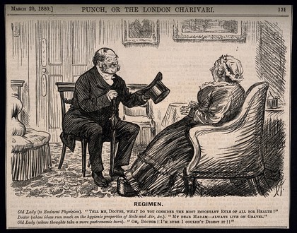 A physician and his female patient talking at cross purposes. Wood engraving by C. Keene, 1880.