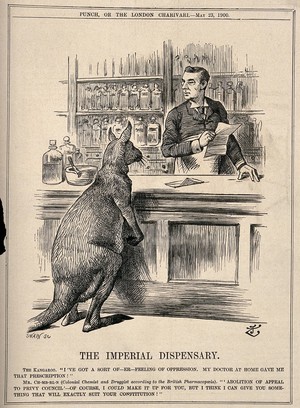 view A pharmacist making up a prescription for a kangaroo; representing Chamberlain's advocacy of the Commonwealth of Australia. Wood engraving by J. Swain after Sir J. Tenniel, 1900.