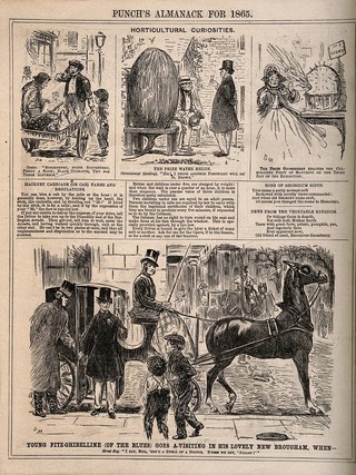 Three episodes about horticultural abnormalities and one episode about a young doctor on a visit. Letterpress and wood engraving after G. Du Maurier, 1865.
