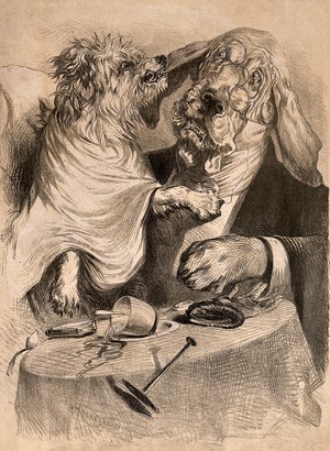 view A little dog attacking the ear of a blood-hound; representing doctor-patient relationships. Lithograph after E.H. Moore.