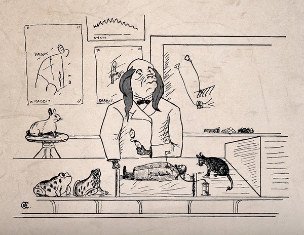 A dog, dressed as a scientist, performing an experiment on a human being; representing vivisection. Reproduction of a drawing after OBC(?).