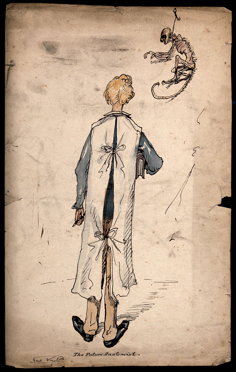 A posterior view of a medical student wearing a surgical gown untidily tied up. Coloured pen drawing by E. Griset., by Ernest Henri Griset