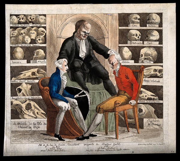 In a room filled with skulls of the famous, the phrenologist Gall examines William Pitt the Younger and Gustavus IV, the King of Sweden, both currently plagued by Napoleon. Coloured etching, 1806.